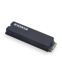 Kioxia Exceria 1TB m.2 NVME LSC11K1T02G8 HEATSINK